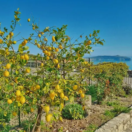 La Casa Dei Nonni